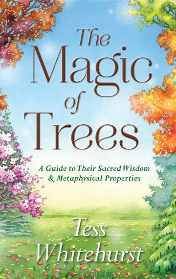 The Magic of Trees